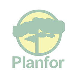 Pinheiro negro da �ustria Trufeiro-T. Uncinatum